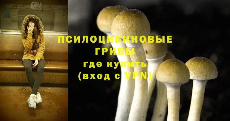 Галлюциногенные грибы Magic Shrooms  цена   Электросталь 